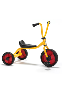 Picture of Tricycle - low