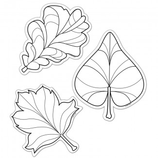 Picture of Color me leaves 6in designer cut  outs