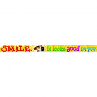 Picture of Smile it looks good on you argus  banner 10 ft