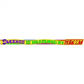 Picture of Success is measured by effort argus  banner 10