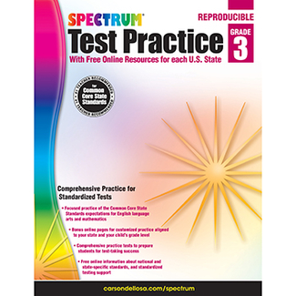 Picture of Test practice workbook gr 3