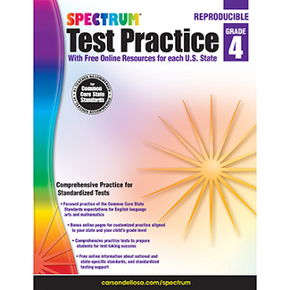 Picture of Test practice workbook gr 4