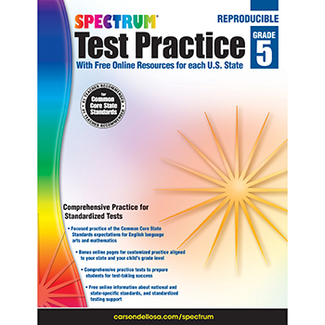 Picture of Test practice workbook gr 5