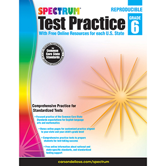 Picture of Test practice workbook gr 6