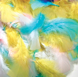 Picture of Feathers spring colors