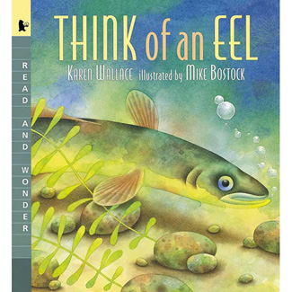 Picture of Think of an eel