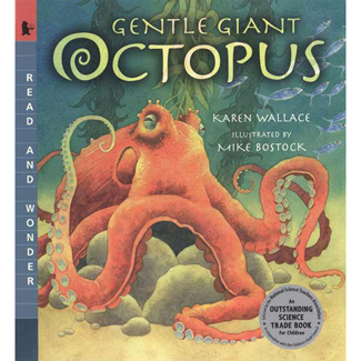 Picture of Gentle giant octopus
