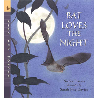 Picture of Bat loves the night