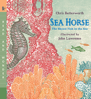 Picture of Sea horse the shyest fish in the  sea