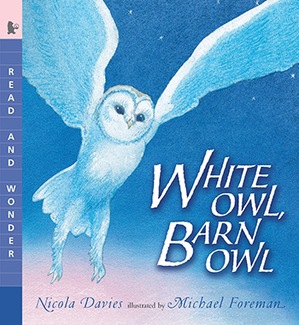 Picture of White owl barn owl