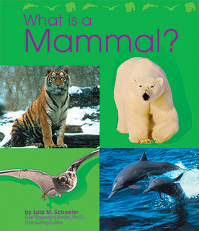 Picture of What is a mammal