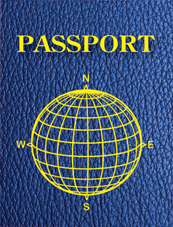 Picture of Blank passports pack of 12