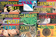 Look once habitats 12 books  variety pk 1 each 3001-3012