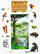 Rain forest habitat bb set