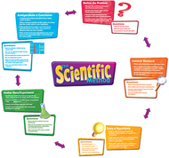 The scientific process bb set