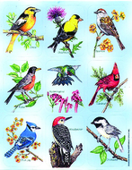 Birds giant stickers