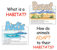 Bb set animal habitats