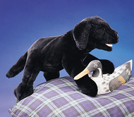 Puppet black lab puppy
