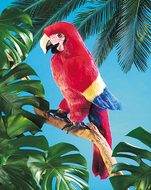 Puppet scarlet macaw