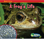 A frogs life