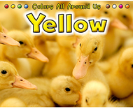 Yellow colors all around us book