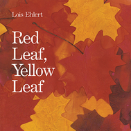 Red leaf yellow leaf big book