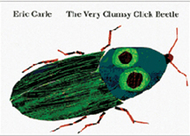 The very clumsy click beetle