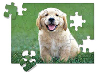 Golden retriever puppy puzzle 30-pc