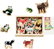 Magnetic animals in a box