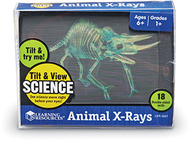 Tilt & view animal x rays set of 18  4in x 5in