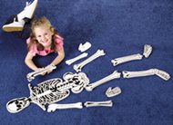 Skeleton floor puzzle