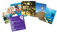 Snapshots critical thinking photo  cards gr 1-2 set of 40