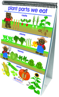 Flip charts all about plants early  childhood science readiness