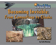 A great idea becoming invisible  from camouflage to cloaks