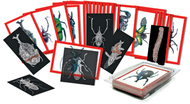 Insect x-rays and picture cards