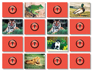 Animals photographic memory  matching game