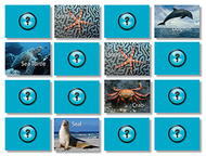 Sea life photographic memory  matching game