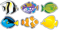 Classic accents mini fish variety  pk
