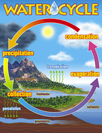 Chart the water cycle