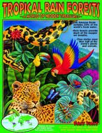Tropical rainforests learning chart