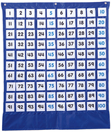 Deluxe hundred board pocket chart