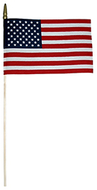 American flag 8 x 12