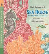 Sea horse the shyest fish in the  sea