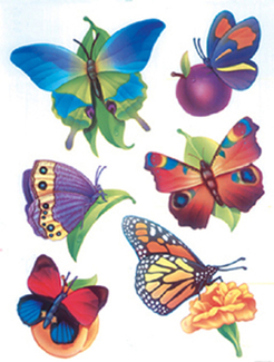 Picture of Window cling butterflies 12 x 17