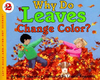 Picture of Why do leaves change colors