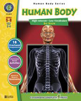 Picture of Human body big book