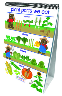 Picture of Flip charts all about plants early  childhood science readiness