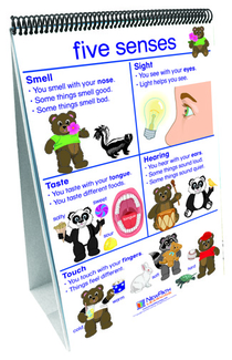 Picture of Flip charts all about me early  childhood science readiness