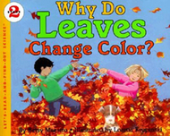 Why do leaves change colors