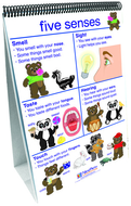 Flip charts all about me early  childhood science readiness